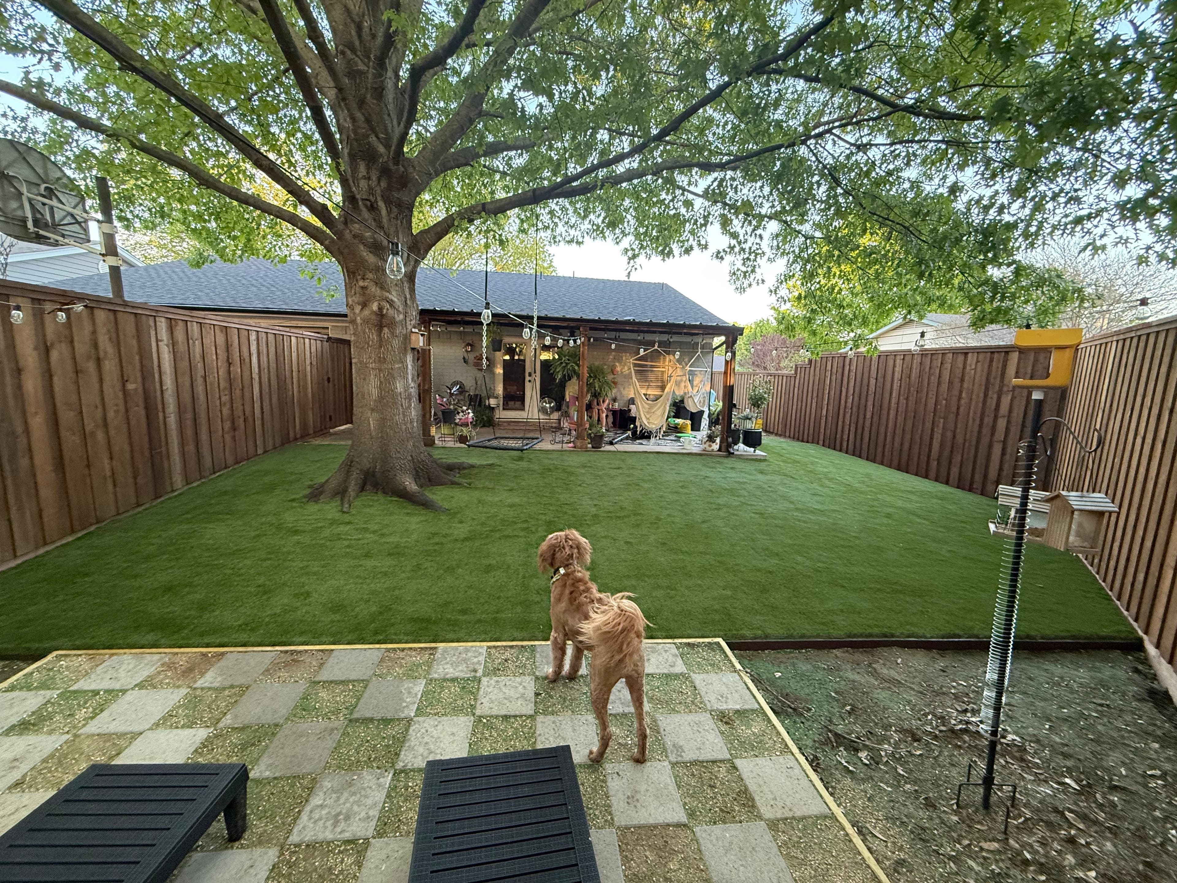 Artificial turf installed around mature tree creating low-maintenance yard